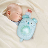 Mi Amigo Musical Mono